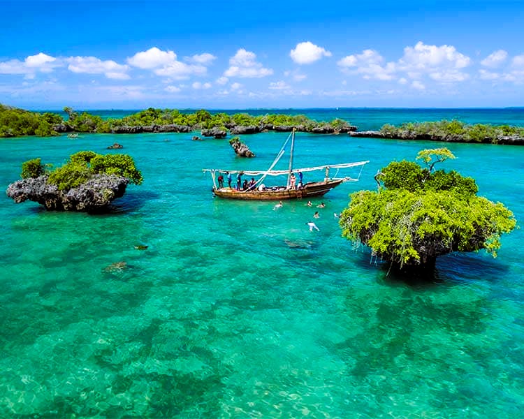 Safari Blue Sharing Boat
