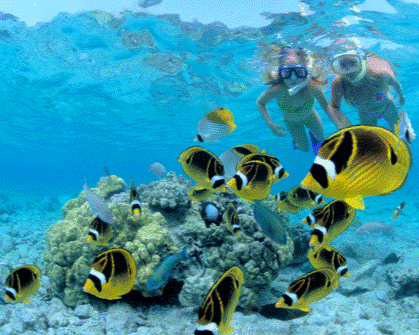 Safari Blue Zanzibar - A Dhow Adventure