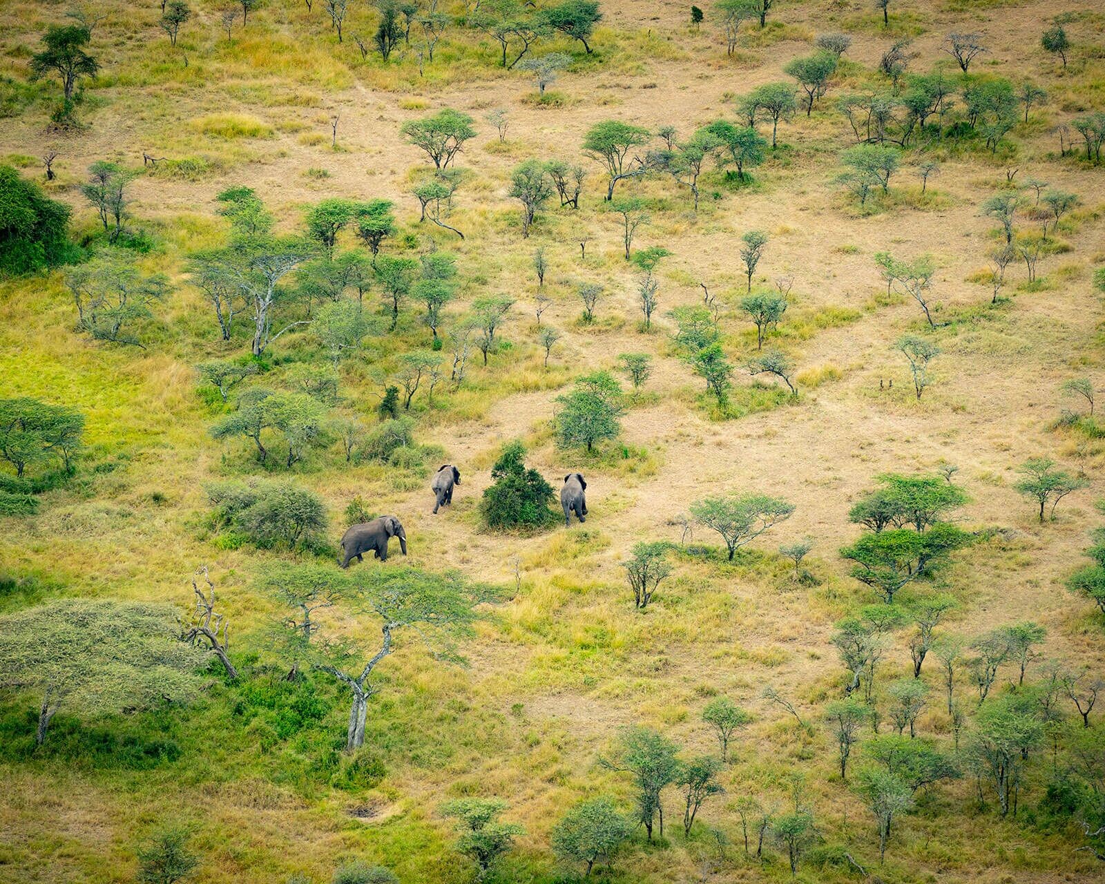 Ngorongoro National Park