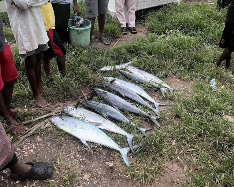 Fishing Activities Tour in Zanzibar