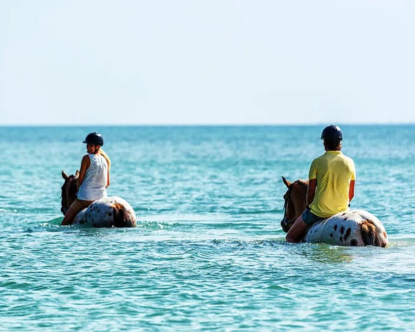 Horse Riding Along the Beach