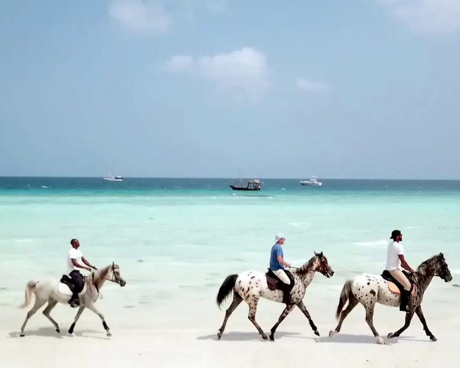 Horse Riding Along the Beach