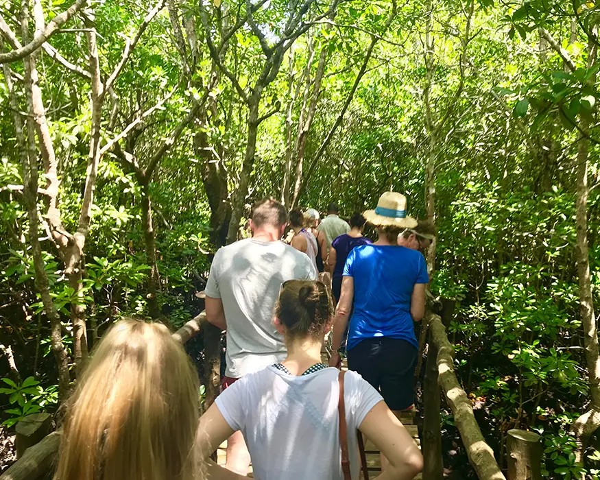 Jozani Forest