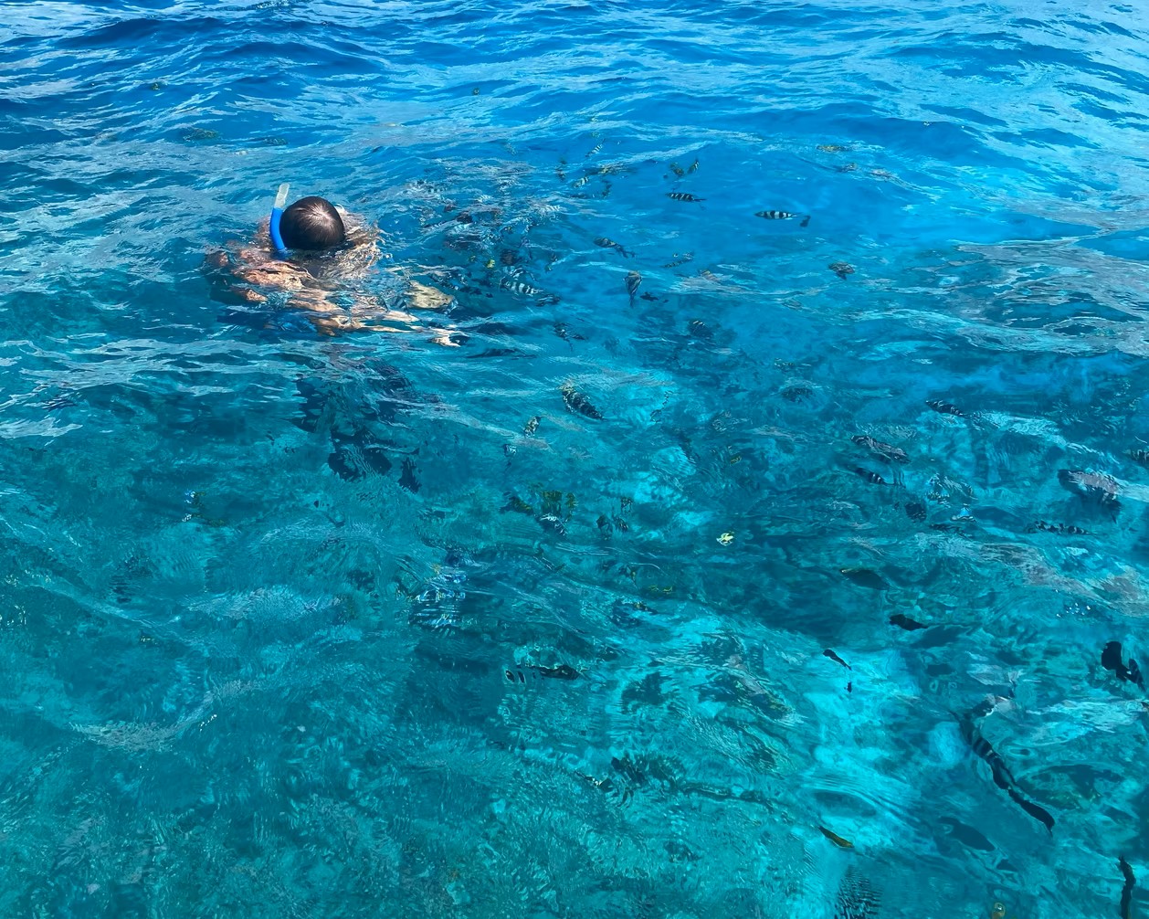 Snorkeling in Coral Reefs