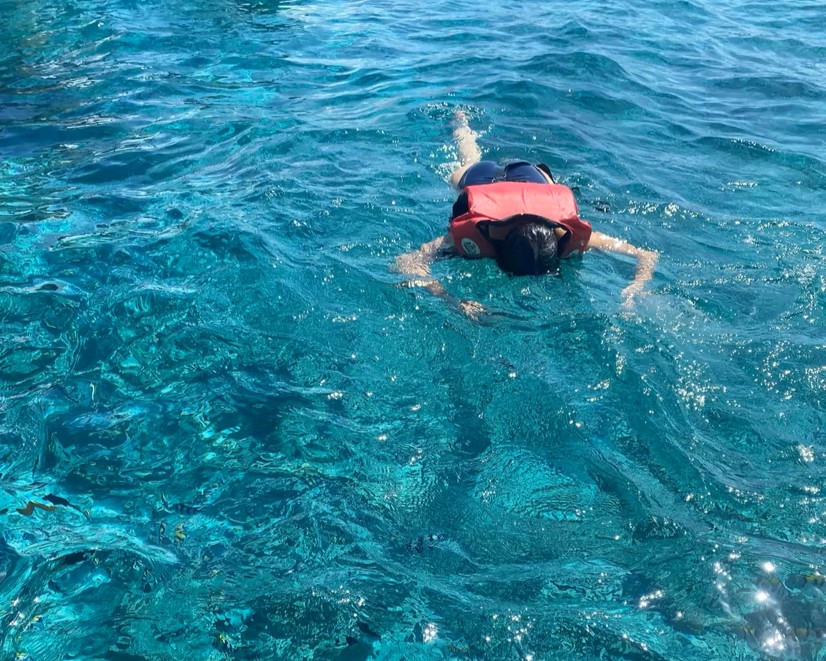 Snorkeling in Coral Reefs