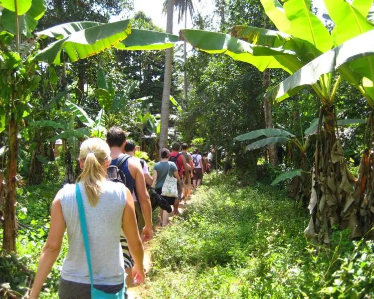 Zanzibar Spice Tour