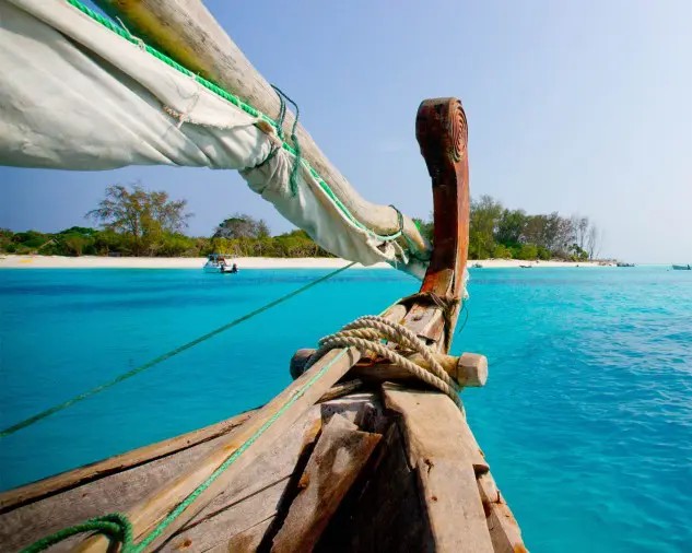 Snorkeling and Swimming With
                            Dolphins