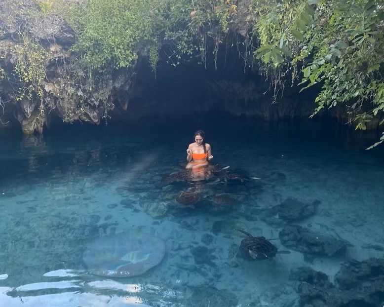Swimming With Turtles in Zanzibar