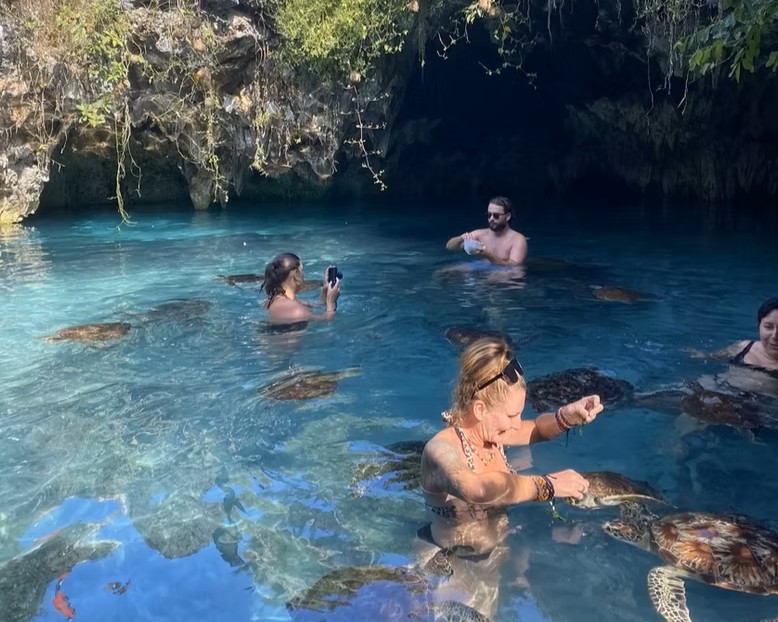 Swimming With Turtles in Zanzibar