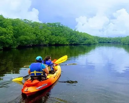 Transparent Kayak Adventure